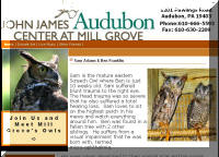 James J Audubon Center at Mill Grove Raptor Program Link